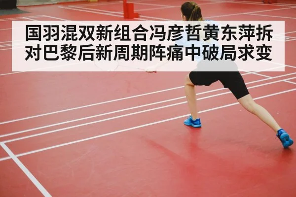 badminton court competition